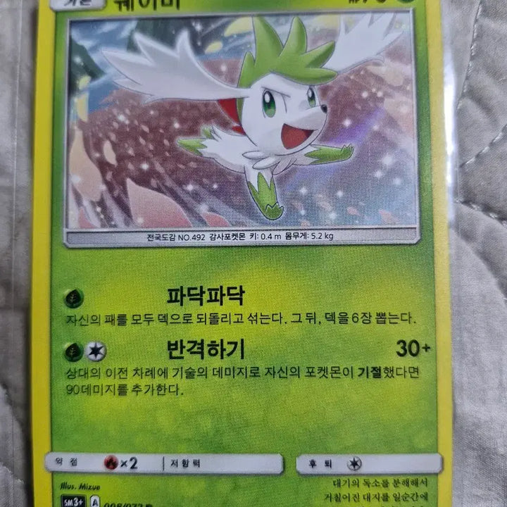 [BUNJANG] Shaymin Ancient Holo Card / [포켓몬카드]쉐이미 고대홀로카드 팝니다