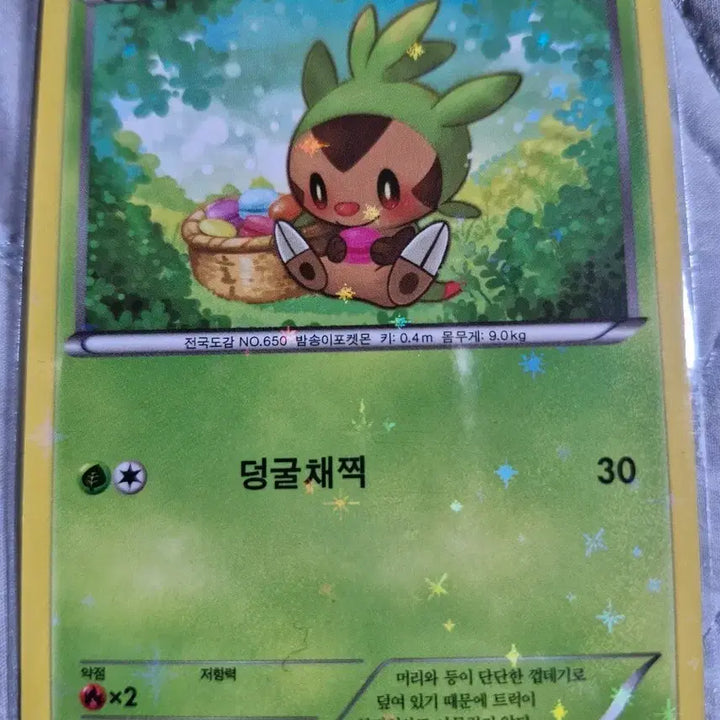 [BUNJANG] Pokemon Card - Torchic (Ancient Card) / [포켓몬카드]도치마론 고대카드팝니다