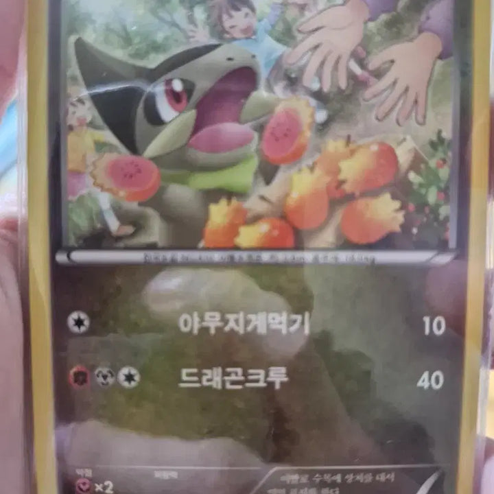 [BUNJANG] Pokemon Card Tergni 3-Stage Evolution Set / [포켓몬카드]터검니 3단진화팝니다