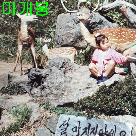 [BUNJANG] Ihaso 1st Album &