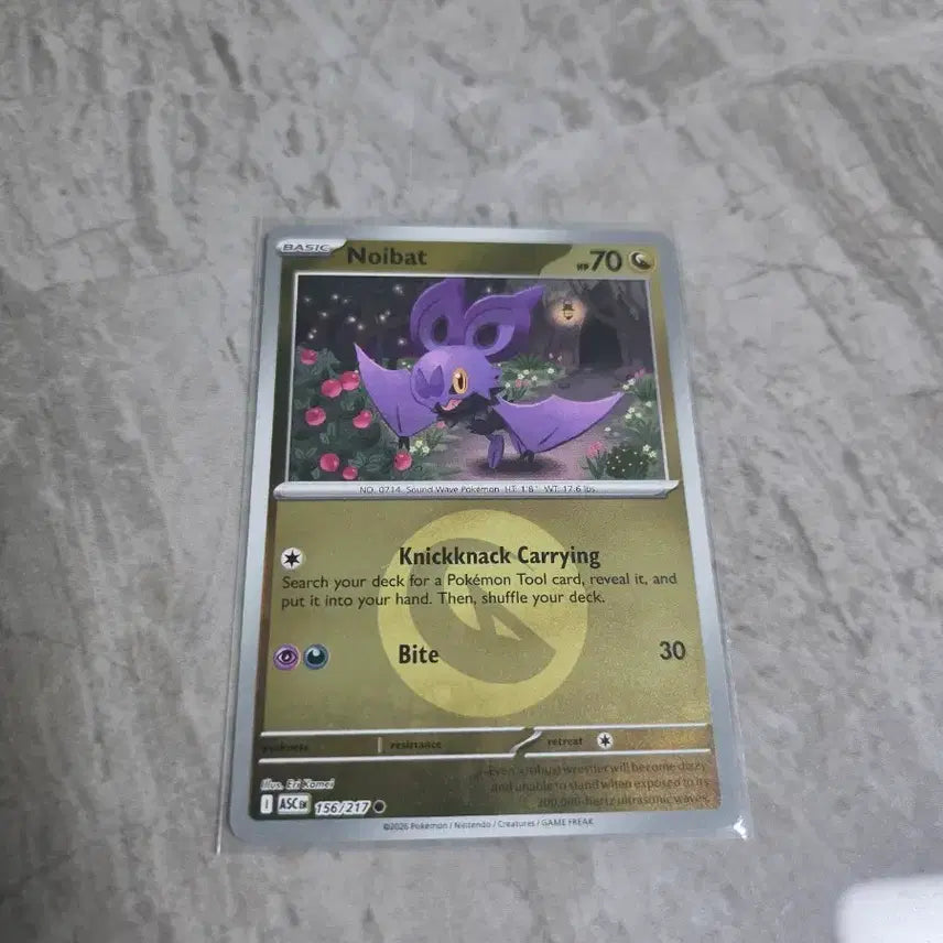 [BUNJANG] Pokemon Card North American Noibat Holo / 포켓몬카드[북미] 노이뱃 홀로