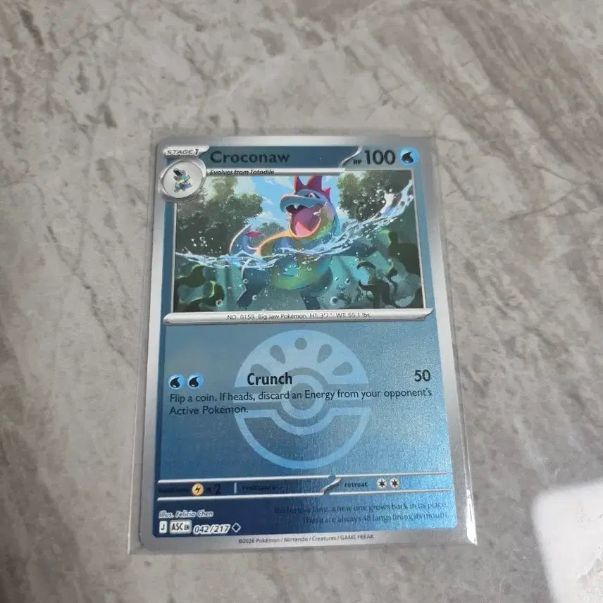 [BUNJANG] Pokemon Card - North America - Croconaw Holo / 포켓몬카드[북미] 장크로다일 홀로