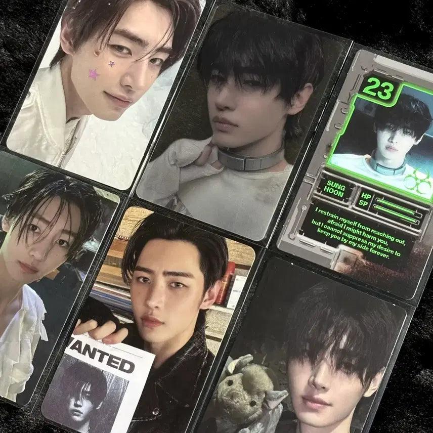 [BUNJANG] ENHYPEN Sunghoon Photocard Album POB Split Set / 엔하이픈 성훈 포토카드 양도 판매 앨범 특전 분철