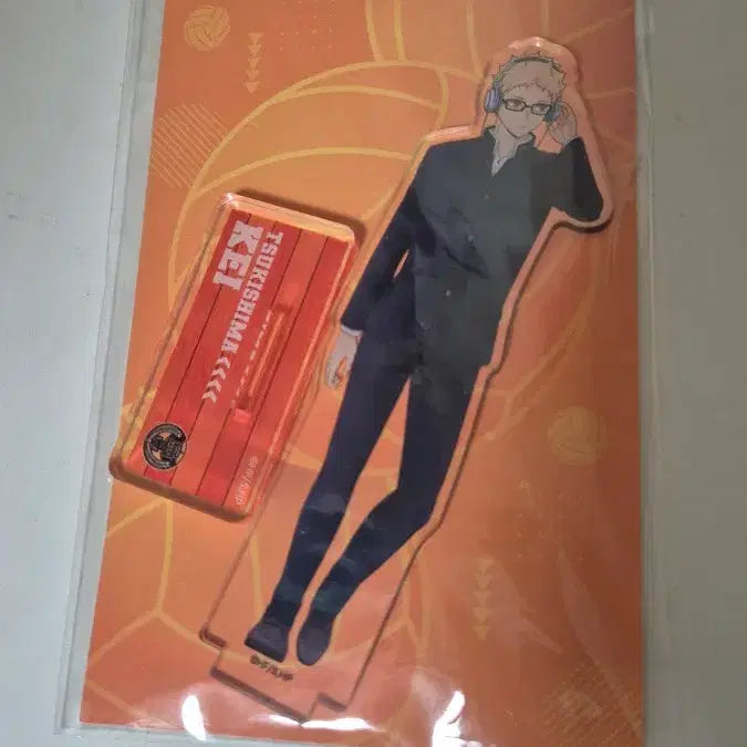 [BUNJANG] Tsukishima &