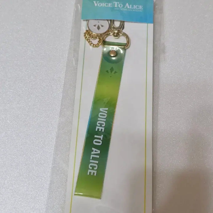 [BUNJANG] VICTON Keyring / 빅톤 키링