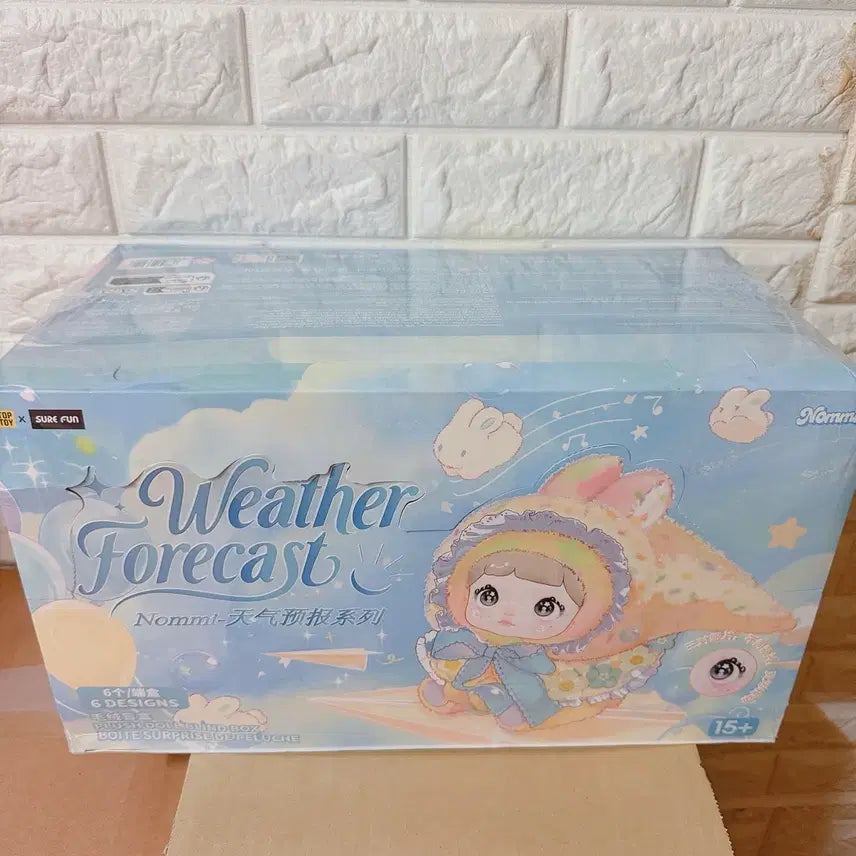 [BUNJANG] Nomi Diary Forecast Sealed Full Box / 노미 일기예보 미개봉 풀박스