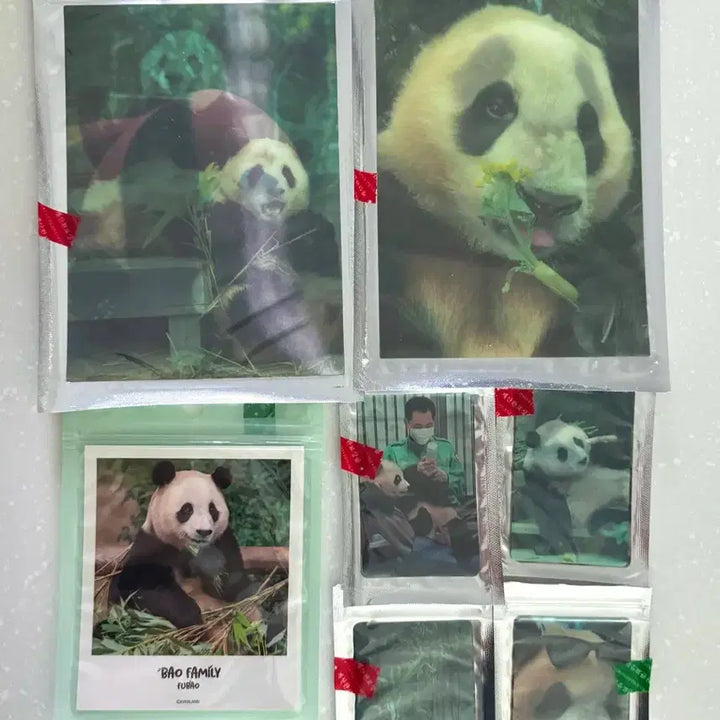 [BUNJANG] Fu Bao Bao Family Goods Photocard Set / 푸바오, 바오패밀리 굿즈