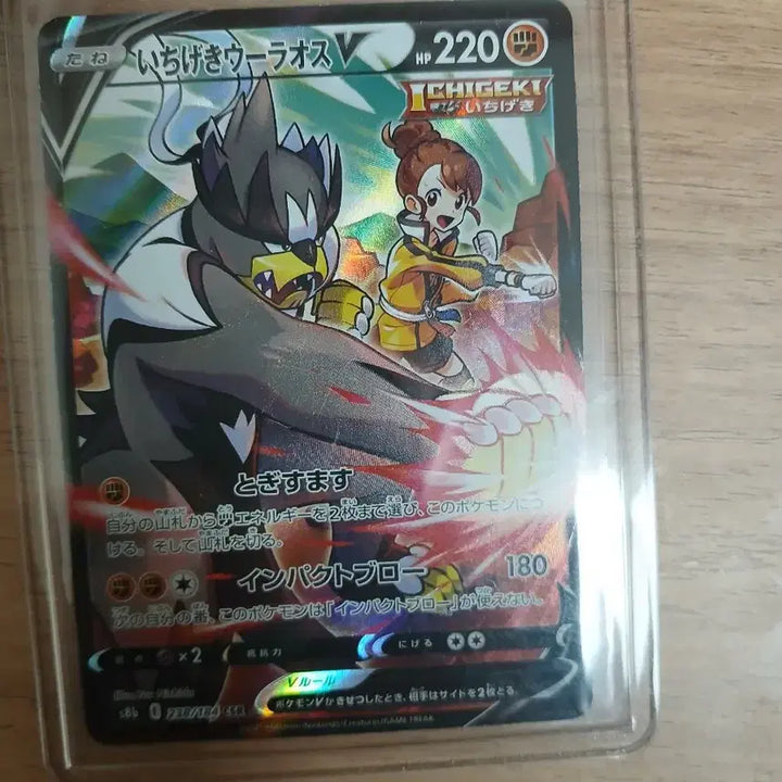 [BUNJANG] Pokemon Card Single Strike Urshifu Japanese / 포켓몬카드 연격우라오스 일판