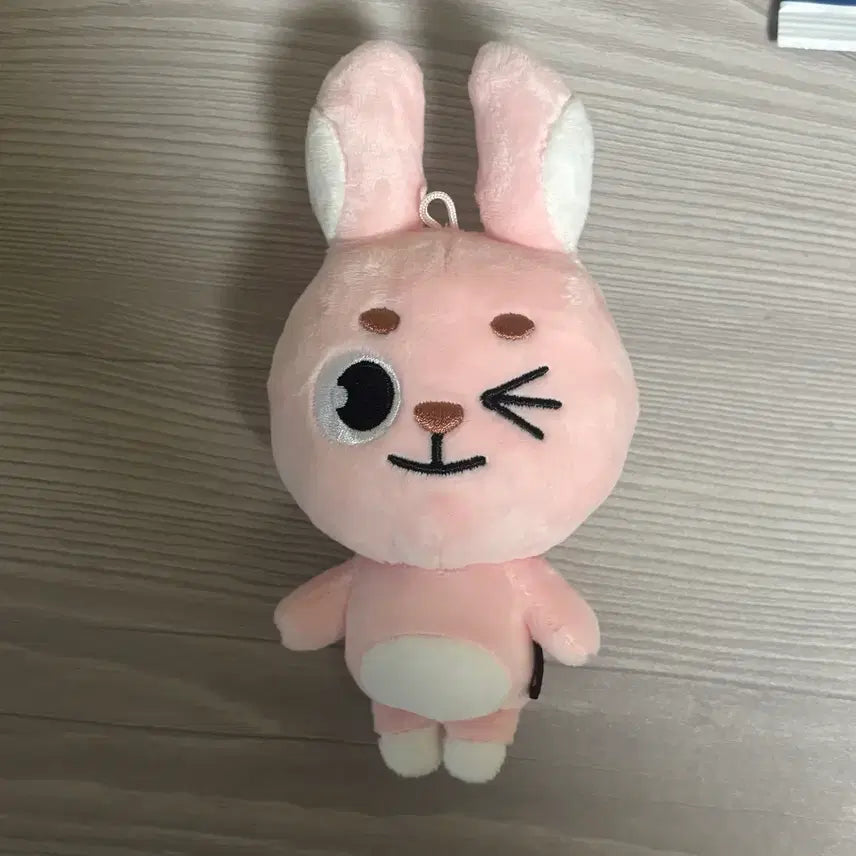 [BUNJANG] DAY6 Wonpil Re-release 19pilKki Photocard Holder / 데이식스 원필 재판 19필끼