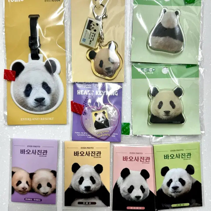 [BUNJANG] Fu Bao Bao Family Goods Set / 푸바오, 바오패밀리 굿즈세트