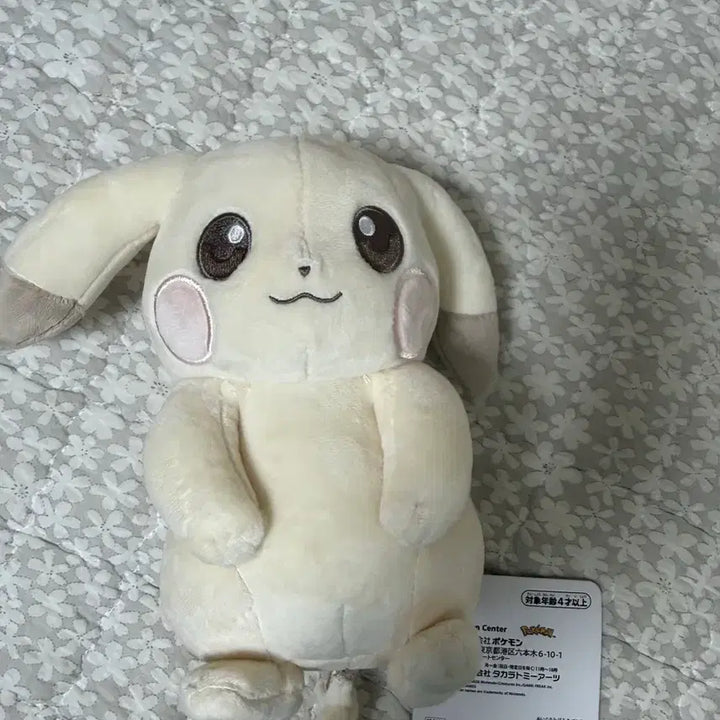 [BUNJANG] Pochama Paldea Chu Chu Chu Chuu Medium Mascot Plush / 창백한 피카츄 창백카츄 포코피아 중형 M 마스코트 인형 누이구루미