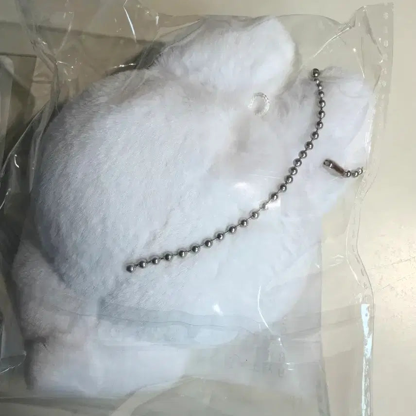 [BUNJANG] Yang Jungwon Doll (Sealed) / 양또 양정원 인형 판매 미개봉 새상품