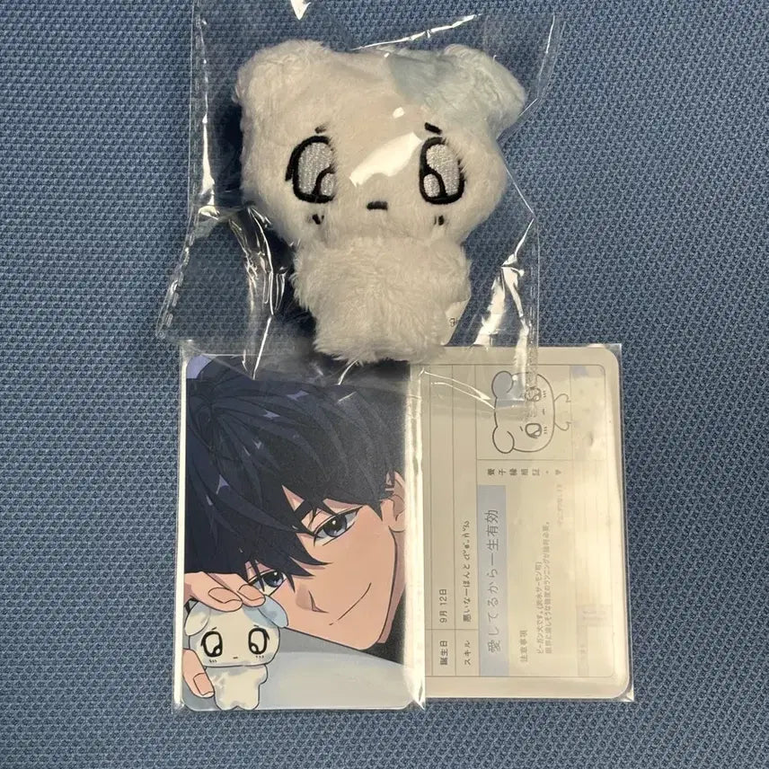 [BUNJANG] Playve Junhypyeong Yesung Unsealed Doll Bundle Set / 미개봉 플부땅 쭈니땅 예준 플레이브 비공식 굿즈