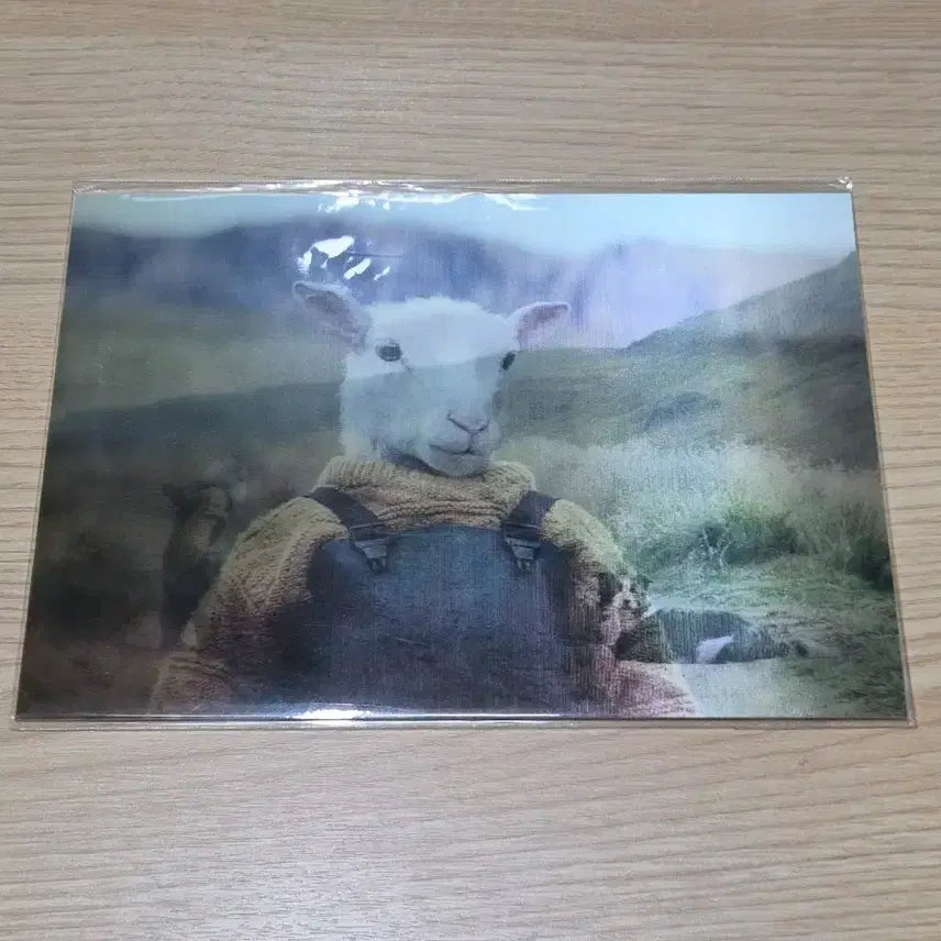 [BUNJANG] RAM Lenticular Card / 램 렌티큘러 카드