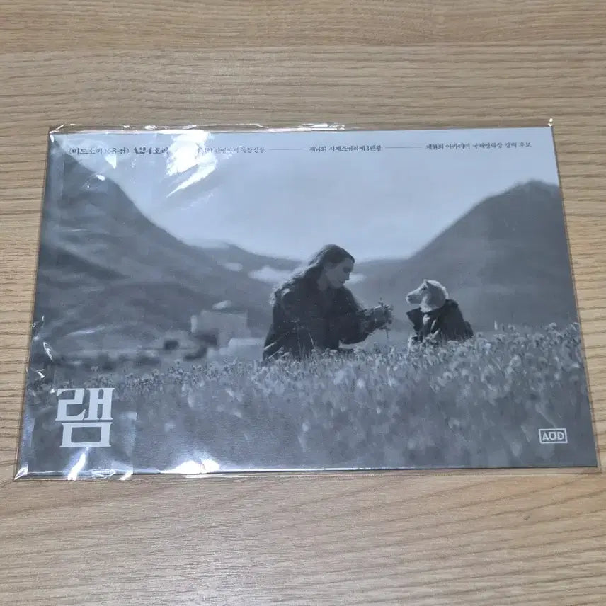 [BUNJANG] RAM Lenticular Card / 램 렌티큘러 카드