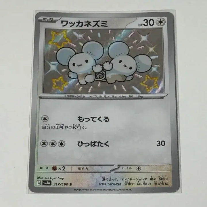 [BUNJANG] Pokemon Card Shiny Sentret (Japanese) / 포켓몬카드 두리쥐 이로치 (일판)