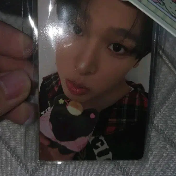 [BUNJANG] NCT WISH Kurorini Big Hug Cushion Photocard / 쿠리니니 엔시티위시 빅허그 쿠션 포토카드