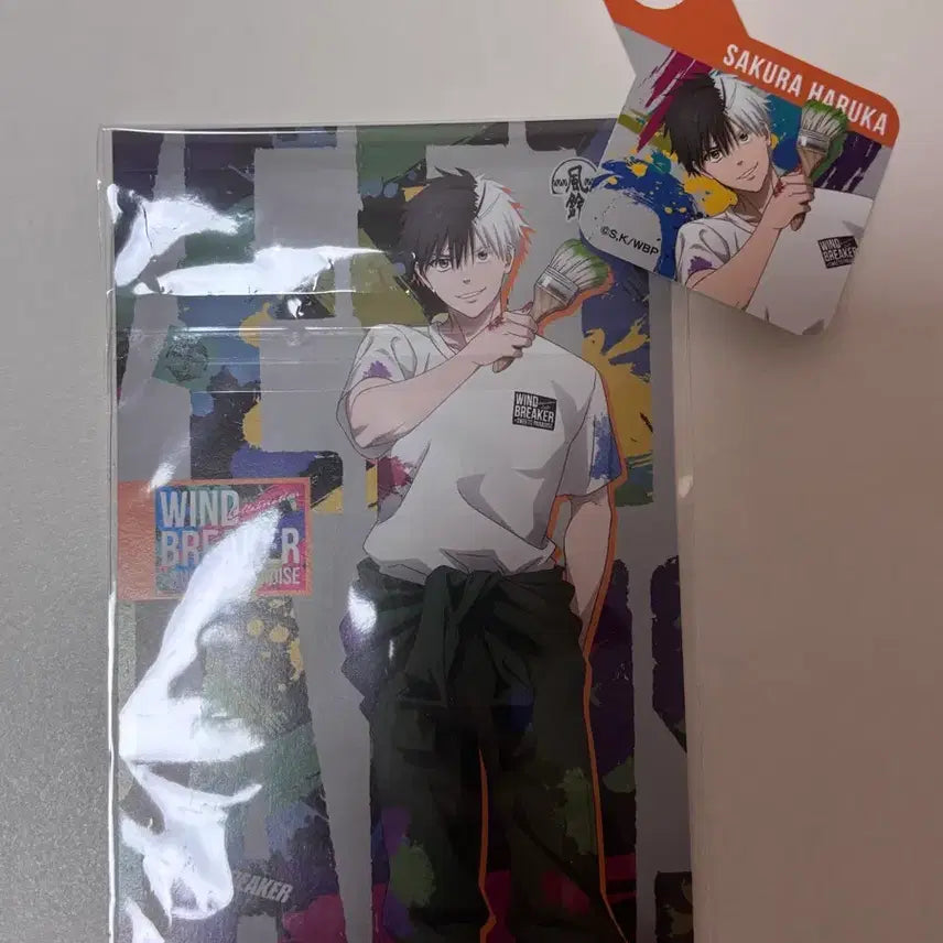 [BUNJANG] Wind Breaker Sakura Haruka Postcard Set / 윈드 브레이커 사쿠라 하루카 엽서