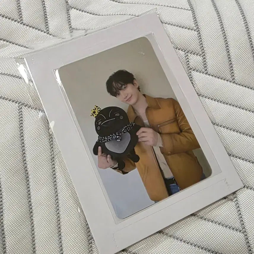 [BUNJANG] 2PM Junho The Return Tokyo Dome PpaengPpaeng Doll Keyring Bundle Set / 2pm 준호 더리턴 도쿄돔 펭펭이 인형 키링 일괄 양도