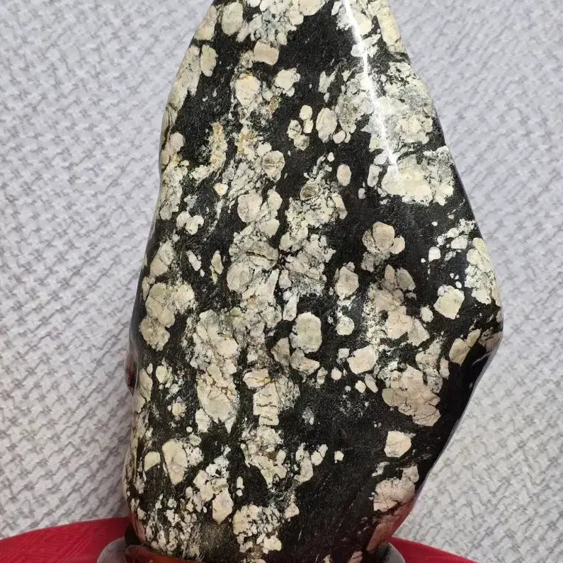 [BUNJANG] Muju Cotton Fossil Stone / 무주 목화 꽂돌