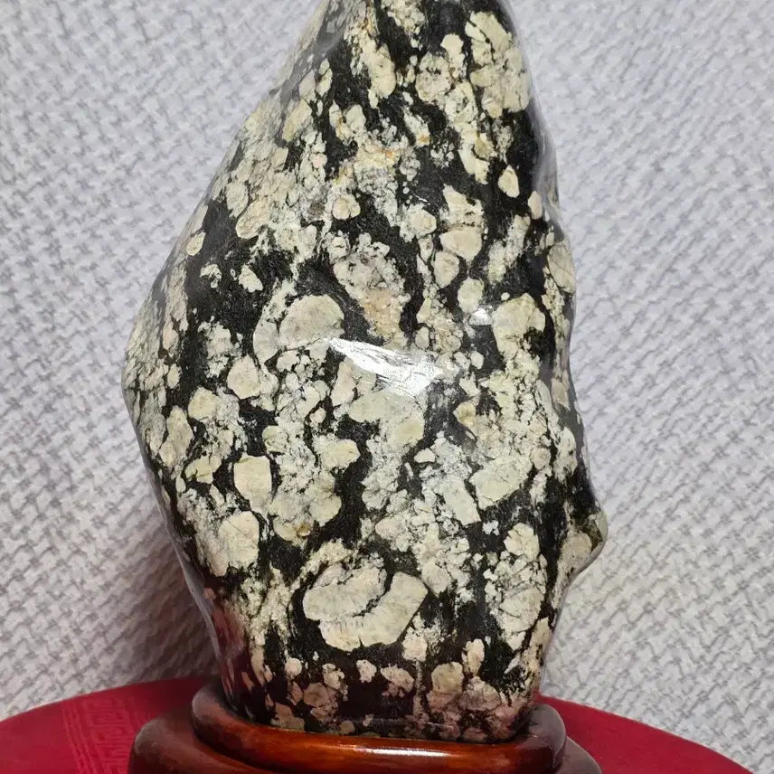 [BUNJANG] Muju Cotton Fossil Stone / 무주 목화 꽂돌
