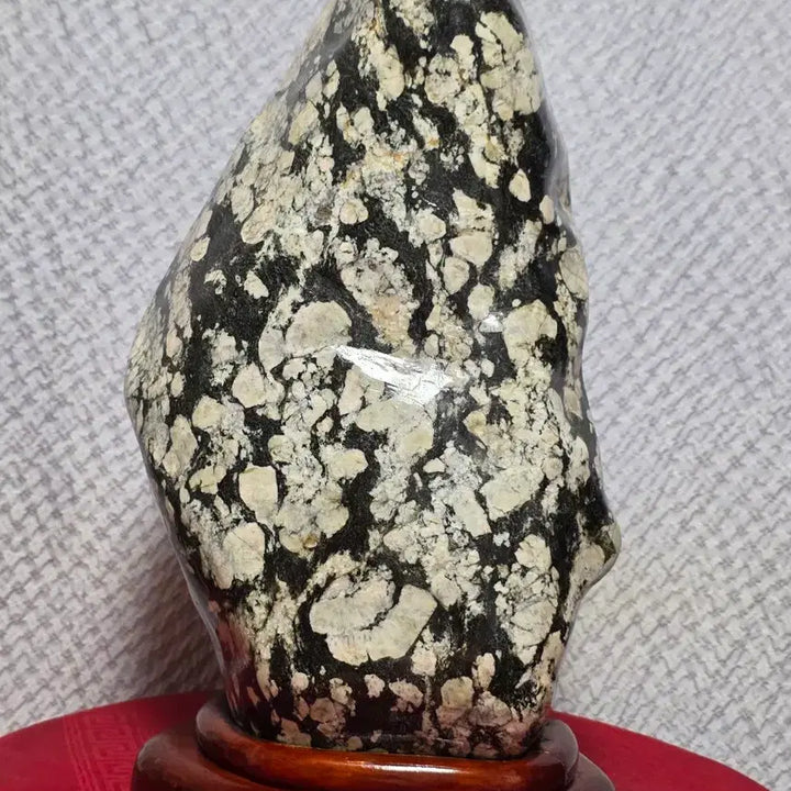[BUNJANG] Muju Cotton Fossil Stone / 무주 목화 꽂돌