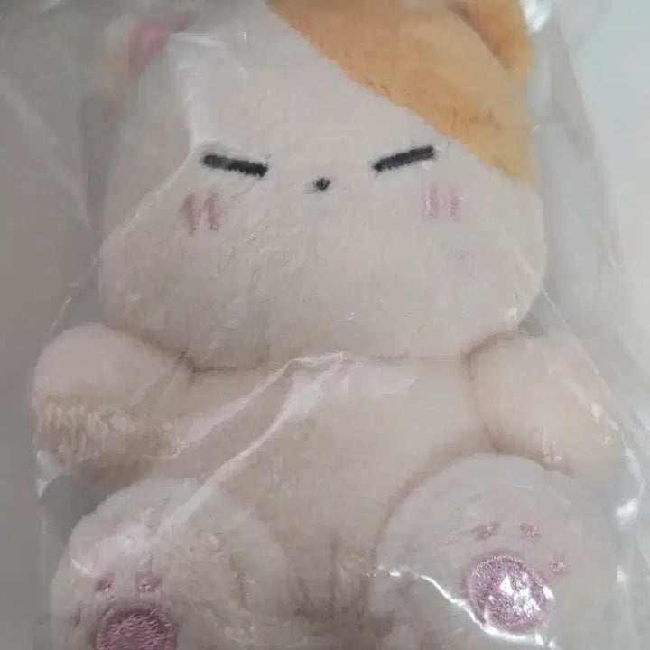 [BUNJANG] Infinite Sungkyu Kkyukong Doll / 인피니트 성규 인형 뀨콩 판매
