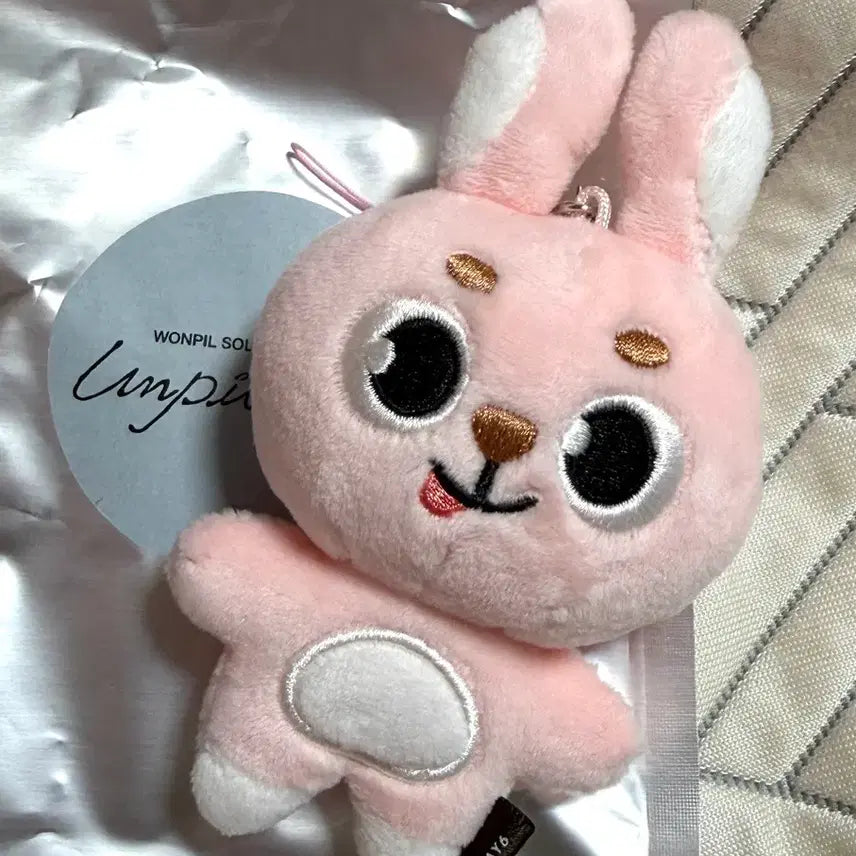 [BUNJANG] DAY6 Wonpil Unpiltered Secret Keyring / 원필 Unpiltered 언필터드 시크릿 키링 메롱필 양도