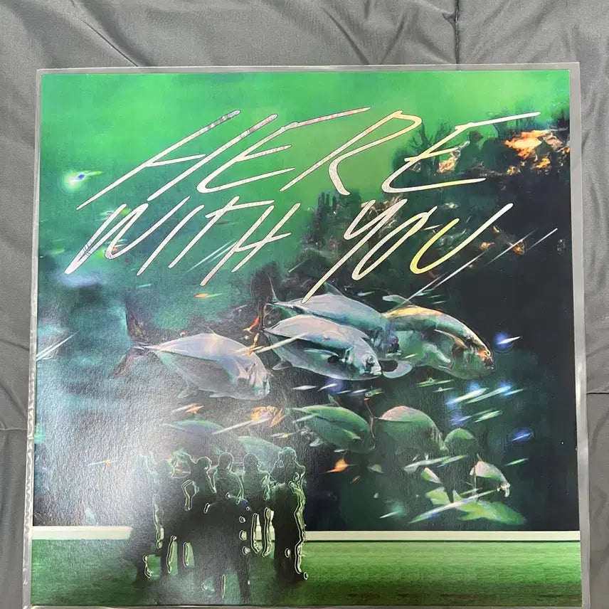 [BUNJANG] Tahiti 80 Here With You LP / Tahiti 80 (타히티 80) Here With You LP