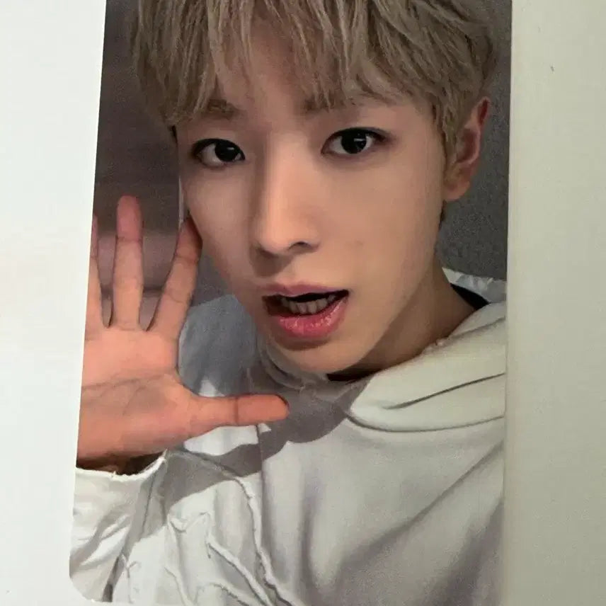 [BUNJANG] NCT WISH Yushi Photocard / 엔시티위시 유우시 포카 포토카드 양도