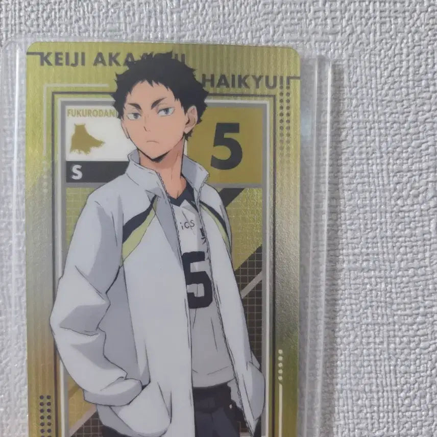[BUNJANG] Bandai Haikyuu!! Kejirushi Akaashi Key Holder / 반다이 하이큐 메지루시 아카아시