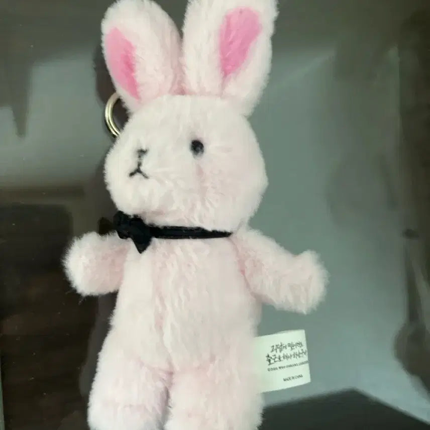 [BUNJANG] Gwedam Arrival Brown &amp; Kind Friend Keychain / [괴담출근 굿즈] 브라운, 착한친구 키링