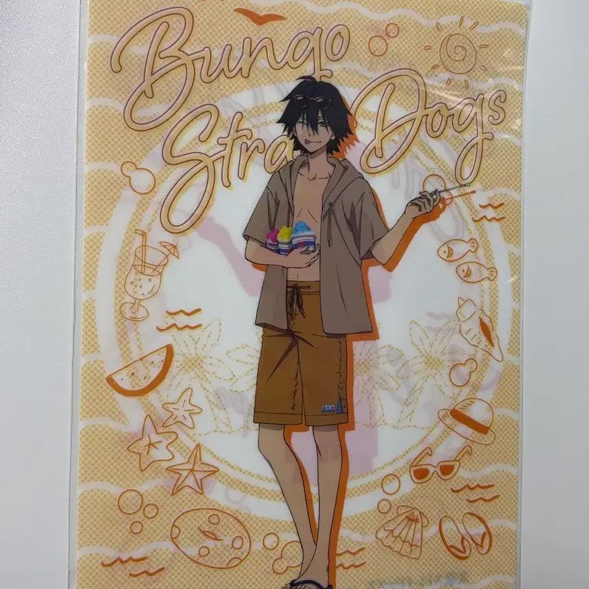 [BUNJANG] Bungo Stray Dogs Ranpo Swimsuit Clear File / 문호스트레이독스 문스독 수영복 란포 파일
