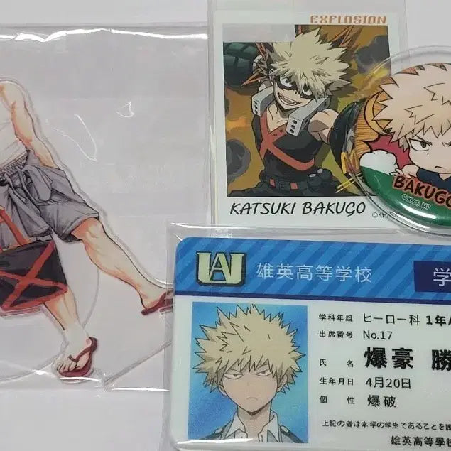 [BUNJANG] My Hero Academia Katsuki Bakugo Bundle Set / 나히아 바쿠고 카츠키 일괄