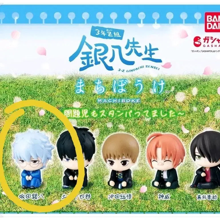 [BUNJANG] Gintama 3Z Machiboke Gacha Ginpachi Unsealed / 은혼 삼젯 마치보케 가챠 긴파치 미개봉