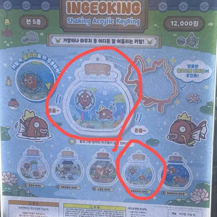 [BUNJANG] Pokemon Magikarp Shaking Acrylic Keyring Blue Sea Magikarp / 포켓몬스터 잉어킹 쉐이킹 아크릴 키링 푸른바다의 잉어킹
