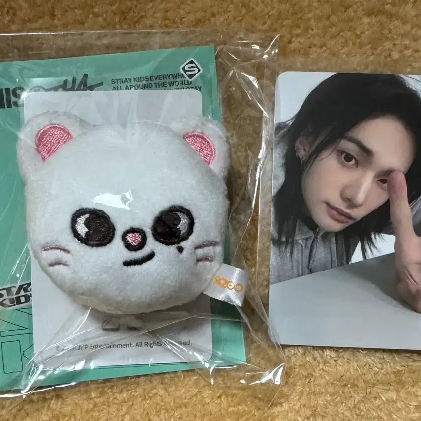 [BUNJANG] Stray Kids THIS&amp;THAT Pop-up Magnetic Holder + Hyunjin POB Photocard / 스키즈 THIS&amp;THAT 팝업 스키주 마그네틱 홀더 + 특전포카(현진)