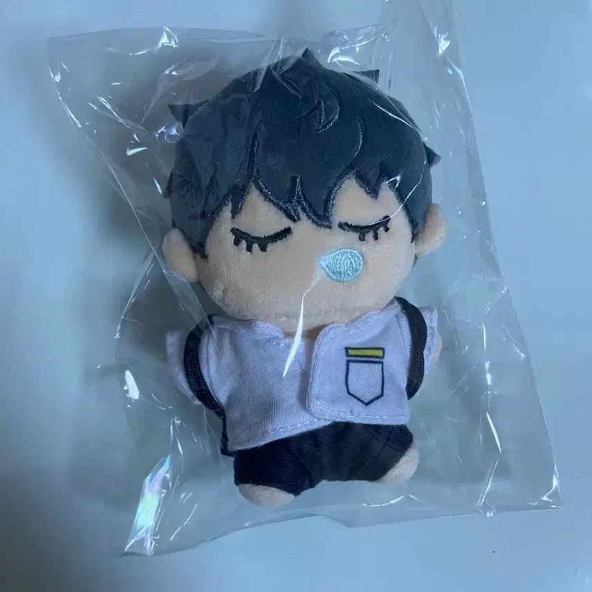 [BUNJANG] Garbage Time Choi Jong-su School Uniform Custom Doll / 가비지타임 갑타 최종수 교복 작뿡인형 판매