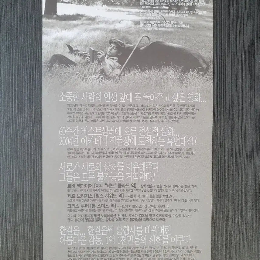 [BUNJANG] Seabiscuit Movie Flyer Pamphlet / 씨비스킷 영화 전단지 팜플렛