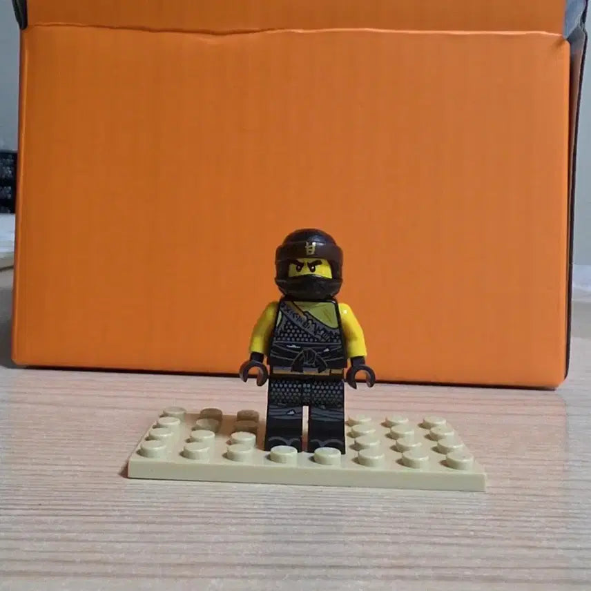 [BUNJANG] LEGO Ninjago Cole&