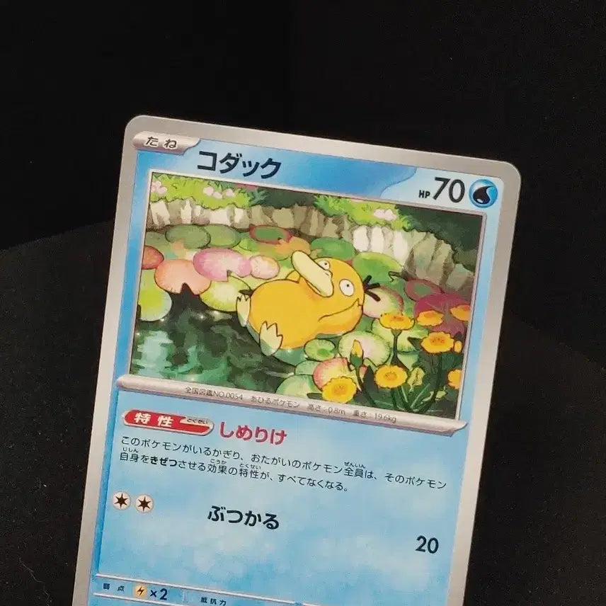 [BUNJANG] Pokemon Card Japanese Golduck Illustration / 포켓몬카드 )일판고라파덕 인기일러!!