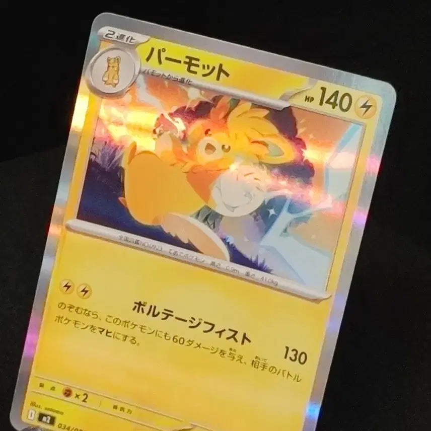 [BUNJANG] Japanese Pokemon Card Wattrel Holo / 포켓몬카드) 일판 빠르모트 홀로