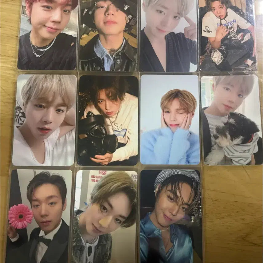 [BUNJANG] Park Ji Hoon Photocard Bundle Set (11 types) / 박지훈 포카 11종 일괄 판매합니다