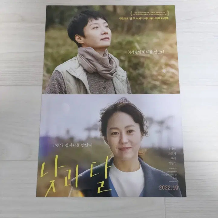 [BUNJANG] The Night Owl Movie Flyer / 낮과달 영화전단지
