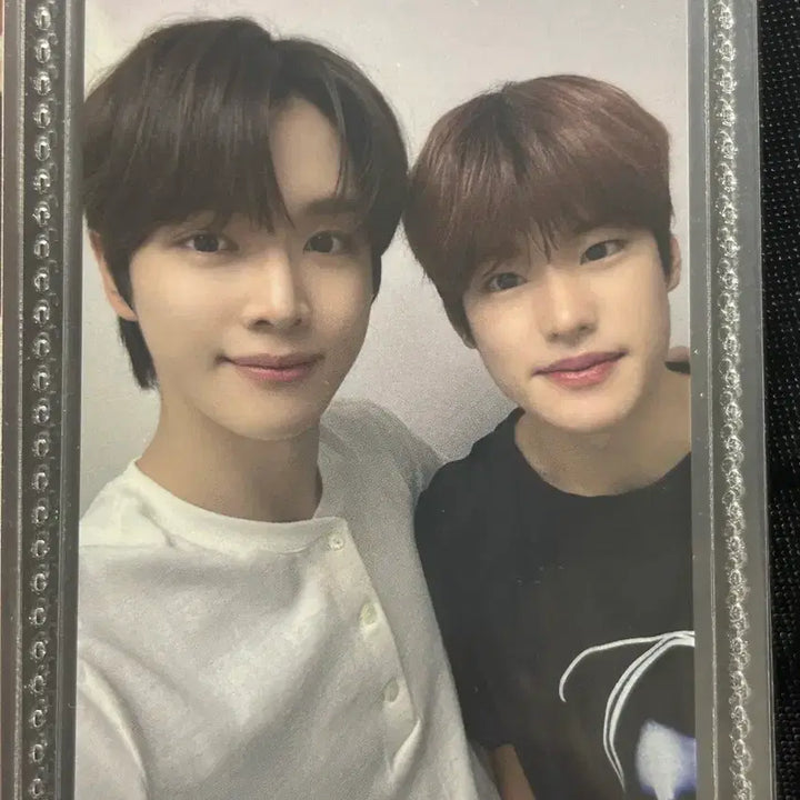 [BUNJANG] BAMTTOZ Photocard / 밤똘즈 포카