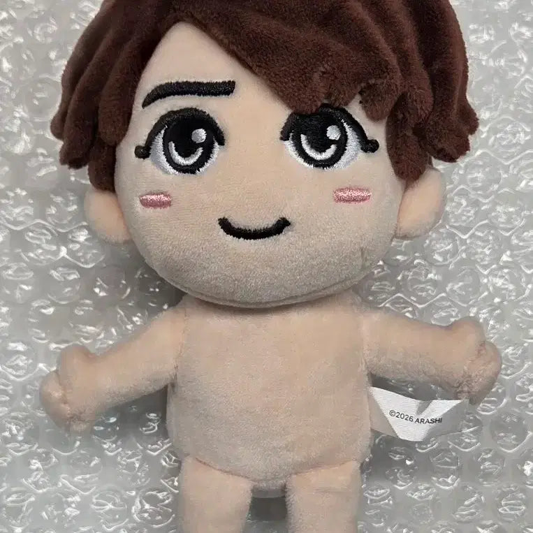 [BUNJANG] Arashi Sho Sakurai Plush Doll / 택포 아라시 사쿠라이 쇼 인형 누이구루미 굿즈 쟈니스 ARASHI