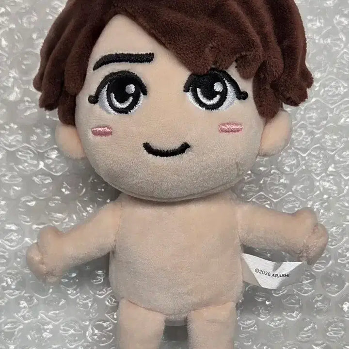[BUNJANG] Arashi Sho Sakurai Plush Doll / 택포 아라시 사쿠라이 쇼 인형 누이구루미 굿즈 쟈니스 ARASHI