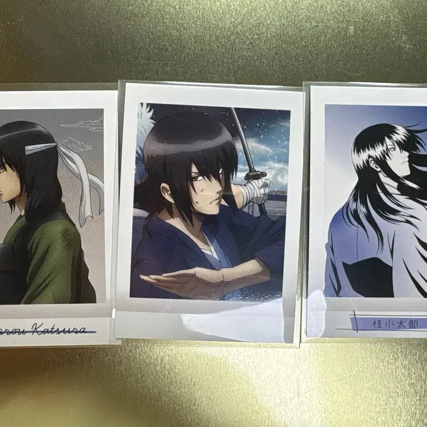 [BUNJANG] Gintama Katsura Kotaro Photocard Set (3 pcs) / 은혼 카츠라 코타로 포토카드 3장