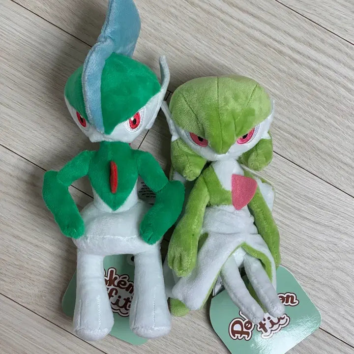 [BUNJANG] Pokemon Gardevoir Gallade Fit Set / 포켓몬 가디안 엘레이드 fit 핏 세트