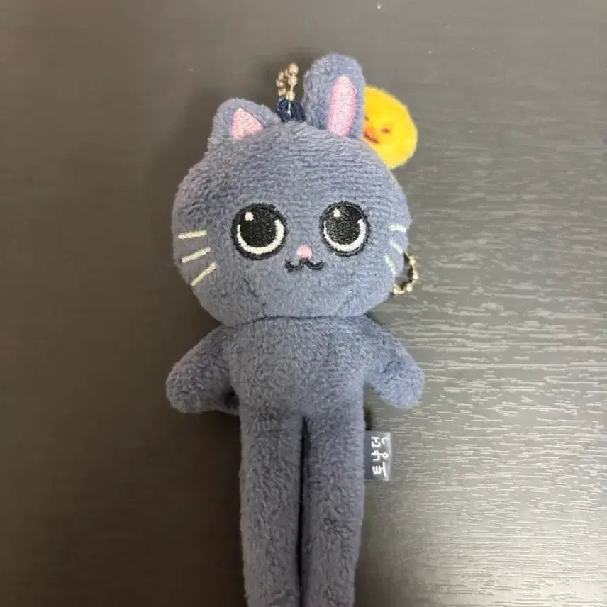 [BUNJANG] RIIZE Wonbin Long-Legged Cat Plush / 라이즈 원빈 롱다리 토냥덕 양도